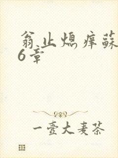 翁止熄痒苏玥第6章