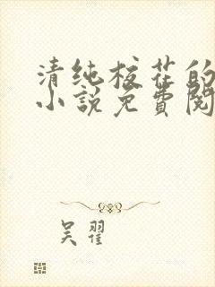 清纯校花的秘密小说免费阅读