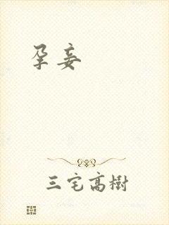 《孕妾》小说封面