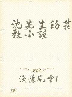 沈先生的花式调教小说