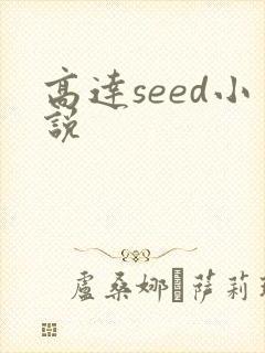 高达seed小说