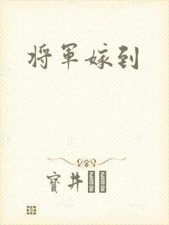 将军嫁到