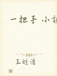 一把手 小说