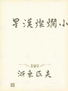 星汉灿烂小说