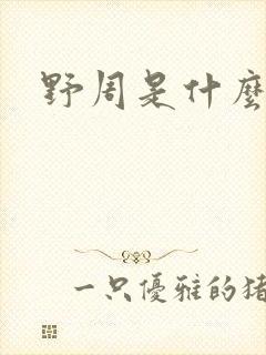 野周是什么意思