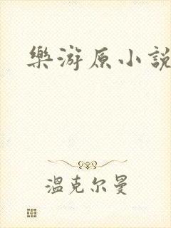 《乐游原小说》小说封面