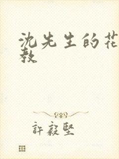 沈先生的花式管教