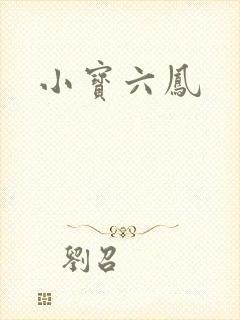 小宝六凤