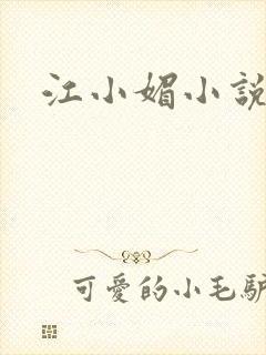 江小媚小说封面