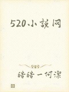 520小说网