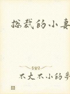 总裁的小妻子
