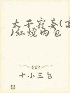 太子宠妾(高肉)红烧肉包