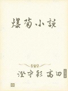 爆菊小说