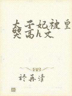 太子妃被皇上c哭高h文