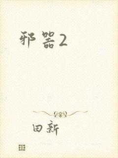 《邪器2》小说封面