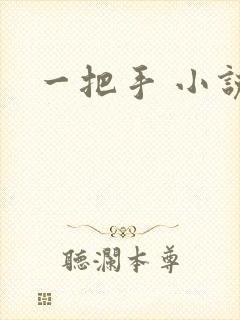 一把手 小说