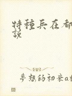 特种兵在都市小说