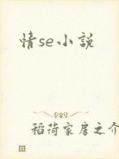 情se小说