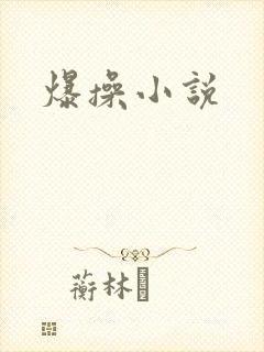 爆操小说