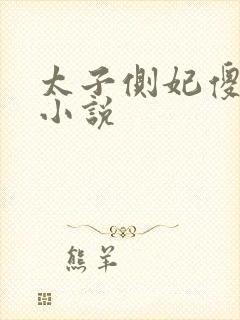 太子侧妃傻乎乎小说