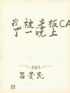 我被老板CAO了一晚上