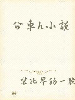 公车h小说