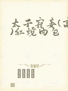 太子宠妾(高肉)红烧肉包