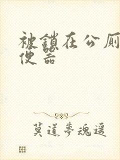 被锁在公厕当坐便器