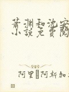 萧渊和沈安安的小说免费阅读