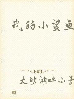 我的小鲨鱼