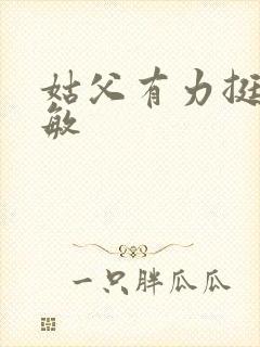 姑父有力挺送赵敏