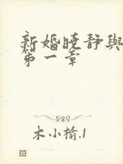 新婚晓静与翁公笫一章