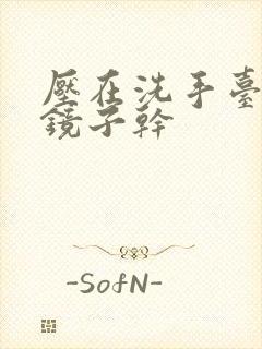 压在洗手台看着镜子干