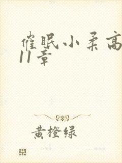 催眠小柔高达第11章