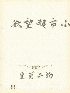 欲望超市小说