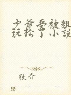 少爷受被粗汉H玩松了小说