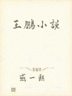 王鹏小说