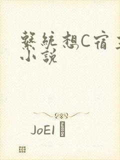 系统想C宿主的小说