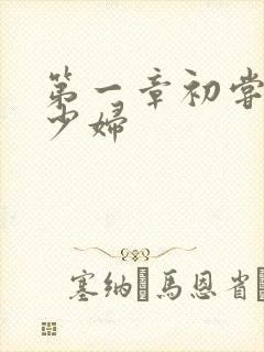 第一章初尝极品少妇