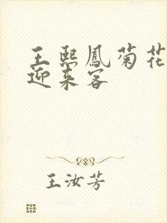 王熙凤菊花门初迎来客