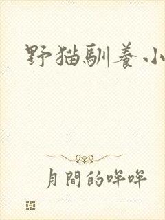 野猫驯养小说