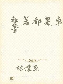 整篇都是车的文章