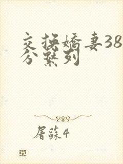 交换娇妻38部分系列