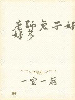 老师兔子好软水好多