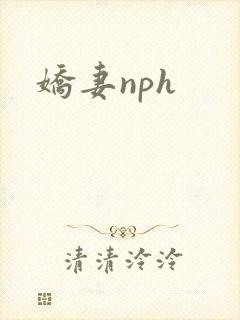 娇妻nph