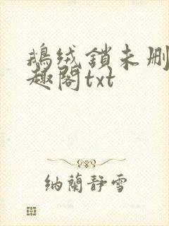 鹅绒锁未删除笔趣阁txt