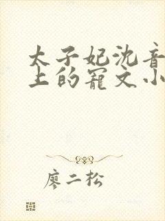 太子妃沈音和皇上的宠文小说