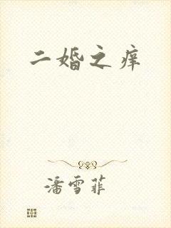 二婚之痒