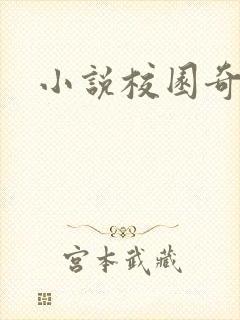 小说校园奇侠封面