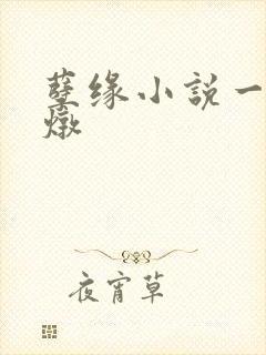 孽缘小说一家乱炖